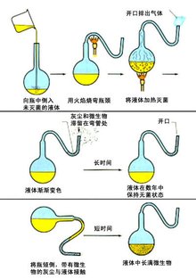 华自科技是做什么的(华软科技怎么样)