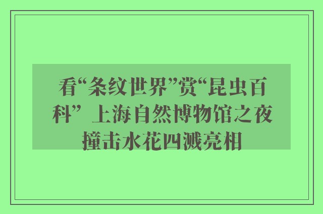 看“条纹世界”赏“昆虫百科”  上海自然博物馆之夜撞击水花四溅亮相
